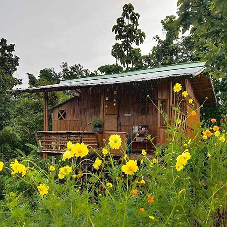 Baan 2 Dao Farmstay Chiang Dao Zewnętrze zdjęcie