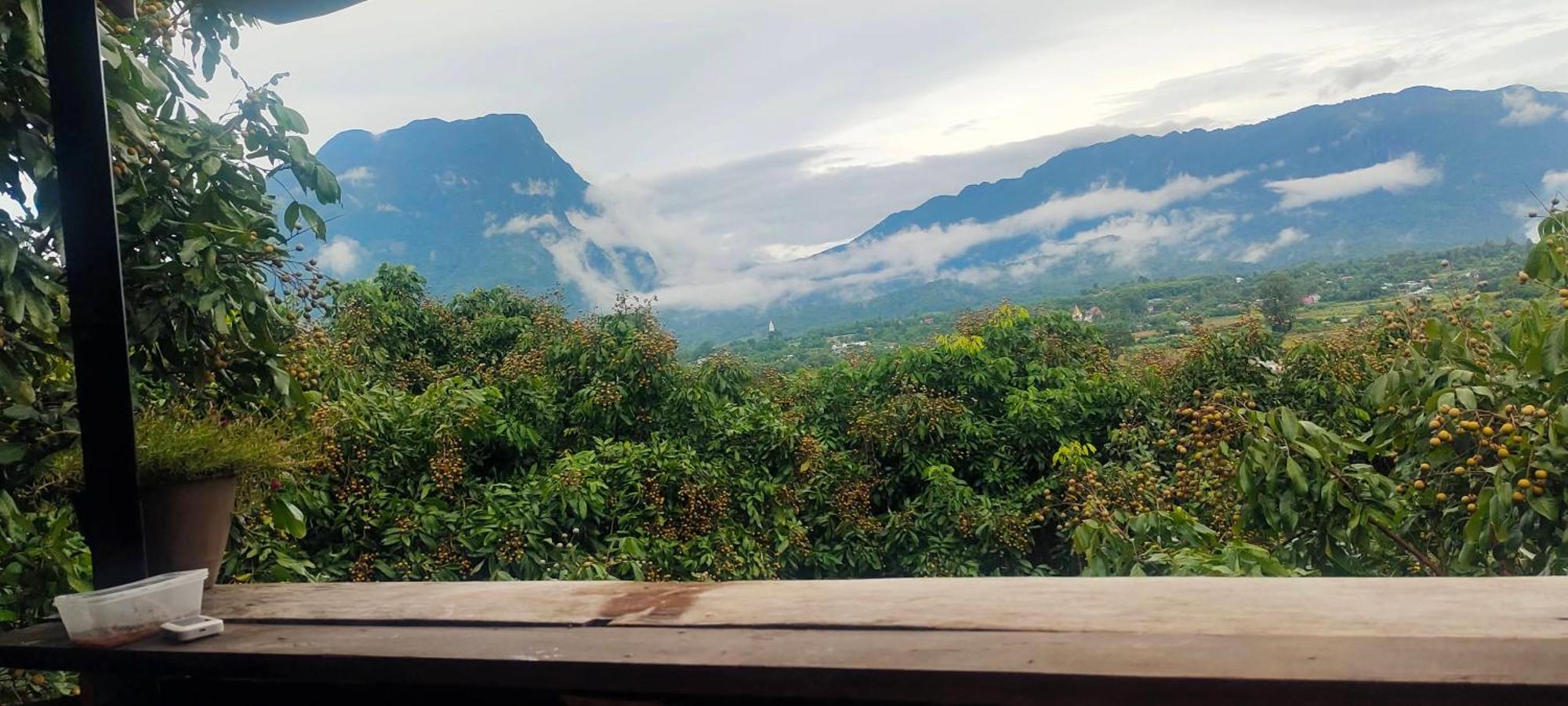 Baan 2 Dao Farmstay Chiang Dao Zewnętrze zdjęcie