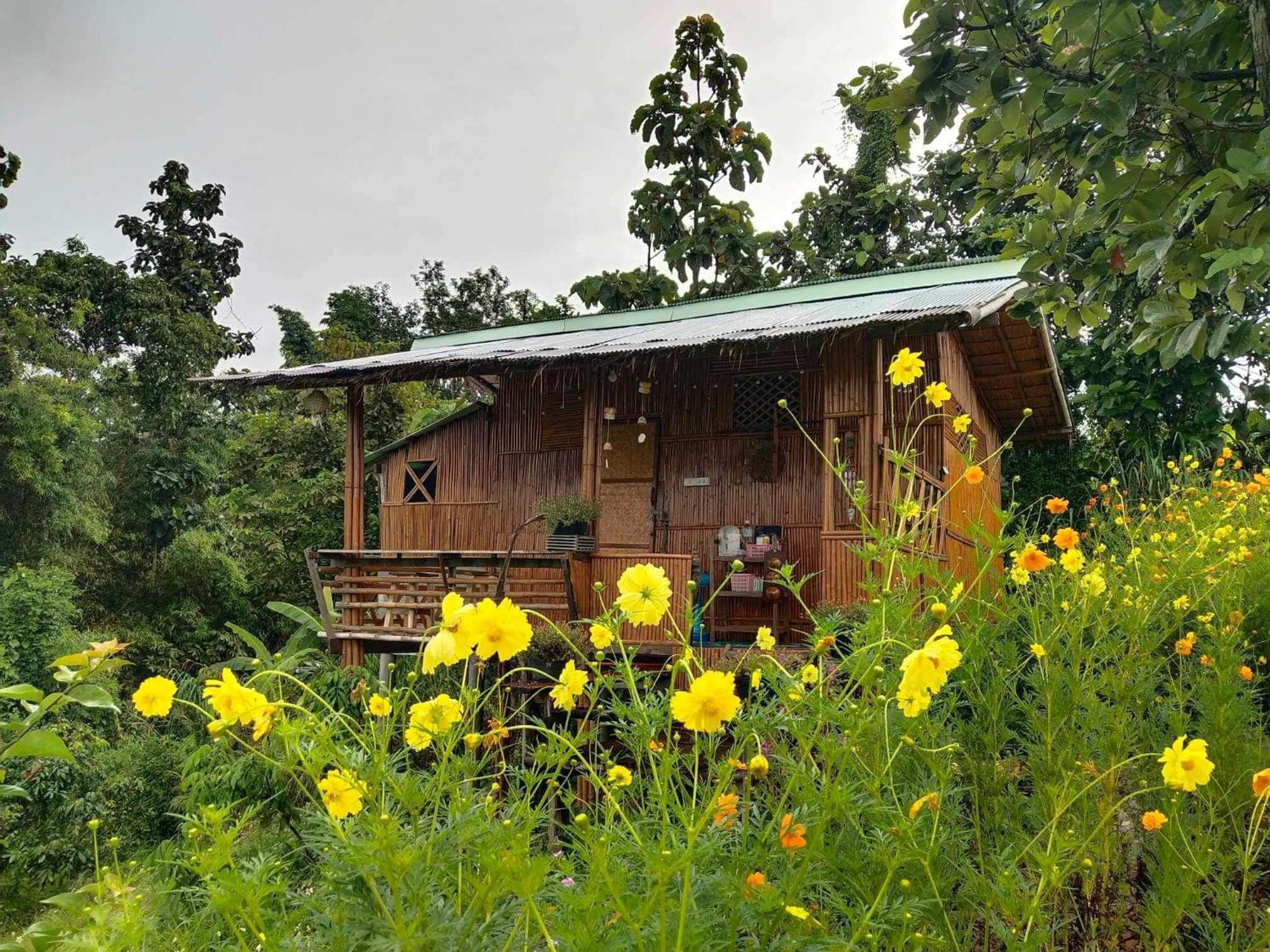 Baan 2 Dao Farmstay Chiang Dao Zewnętrze zdjęcie